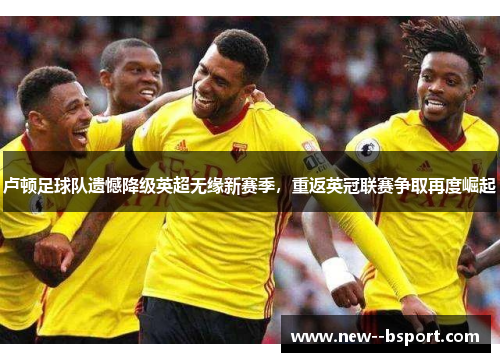 卢顿足球队遗憾降级英超无缘新赛季，重返英冠联赛争取再度崛起